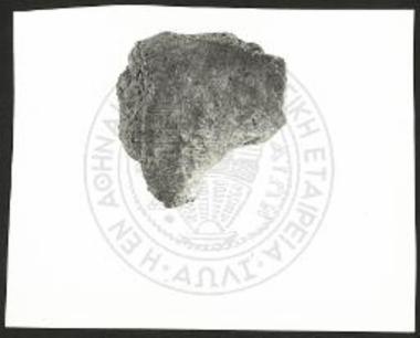 Partly preserved body of quadruped.