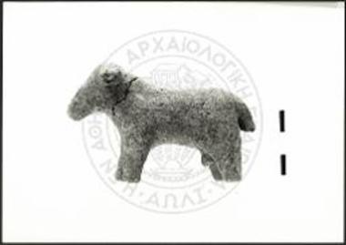 Ram with short, sturdy body.