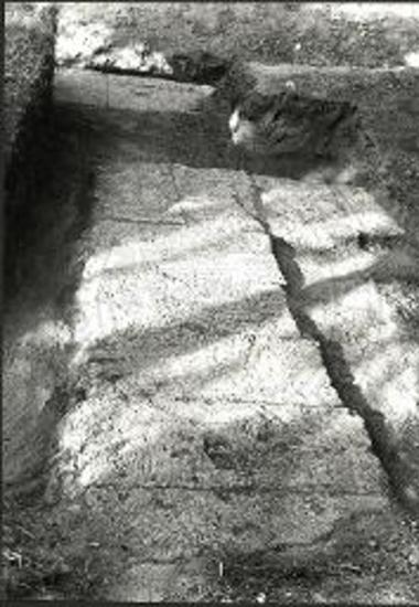 Krepis des Tempels der Artemis Tauropolos.