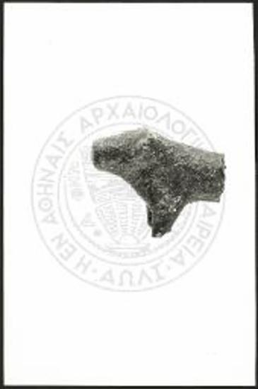 Stier - Fragment (X 4130).