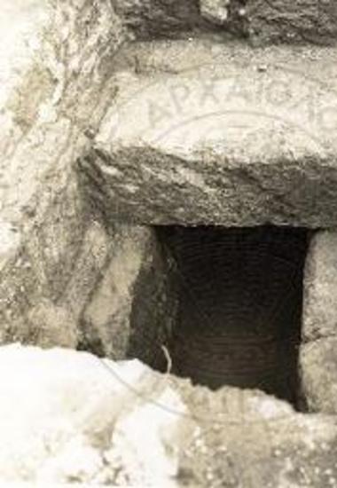 Ο πώρινος κιβωτιόσχημος Β/50.