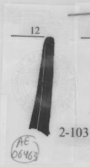 Λαιμός αγγείου από το λάκκο 2-Γ.