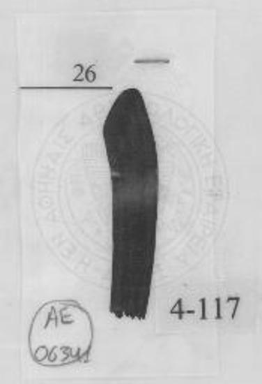 Καστανόμαυρος σκύφος.