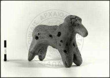 Ram with body of almost rectangular cross-section.