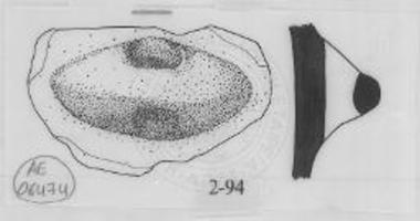 Απόφυση αγγείου κοινής κεραμεικής.