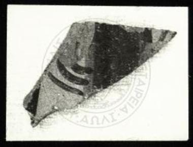 Όστρακον εκ της ακροπόλεως Κουκουναριών.