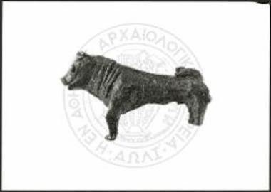 Stier (X 3507).