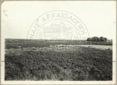 Συστάς δένδρων παρά την πηγήν του ρύακος Αγιονέρι.