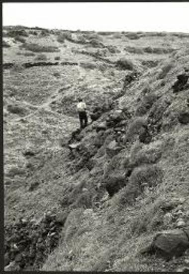 (EN) The ravine of 