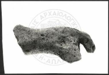 Partially preserved stallion.