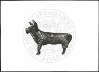 Stier (X 4370).