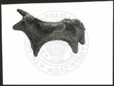 Stier (X 3328).