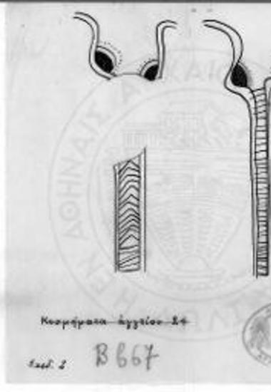 Το επί του λαγηνοειδούς αγγείου (αρ. 24) κόσμημα.