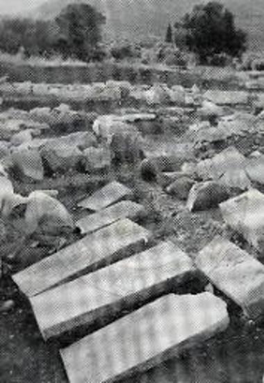 Στήλες πεσμένες στη βόρεια πλευρά του ναού.