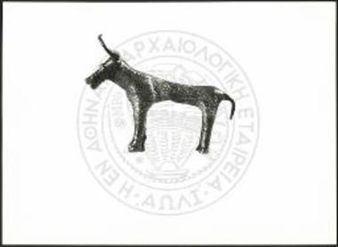 Stier (X 4974).