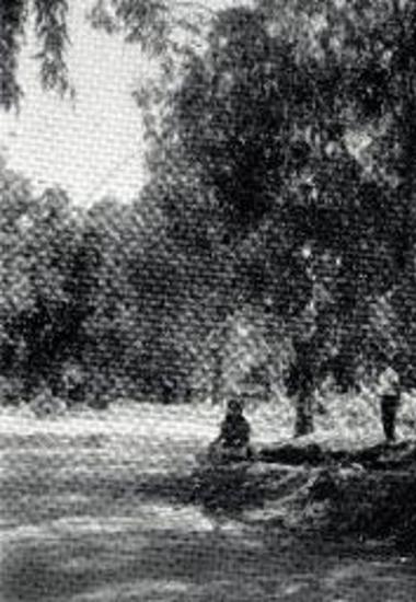 Κεφαλοβρύσου τ. 1 εντός της οδού.