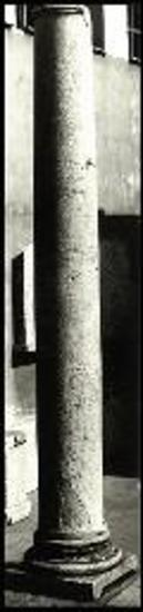 Λευκόπετρα. Κίων από το ιερό της Μητρός Θεών Αυτόχθονος μετά την ανασύστασή του.