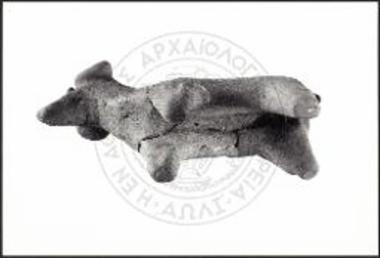 Sheep with barrel-shaped body.