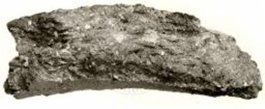 Κοκοράκου. Το τοίχωμα του πίθου.