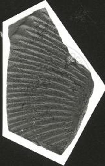 Χωρίς τίτλο