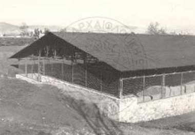 The shed of the Academy