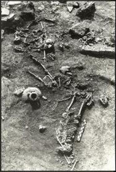 Τομέας 2. Ανθρώπινοι σκελετοί.