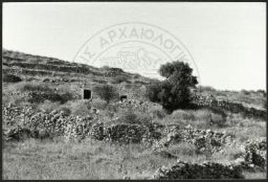 Ξερολιθιές στην περιοχή της αγροικίας Πρινέα ή Σκάρπανη, άποψη από Δ.