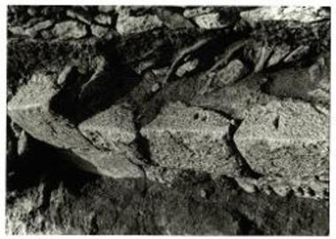 Ταφικό ανάλημμα βορείας οδού, ΠΑΕ 1988, πίν. 1β.