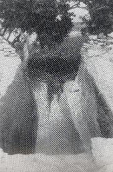 Ο δρόμος του τάφου ορώμενος εξ Α. (εκ της θόλου).