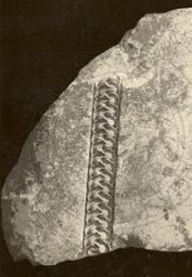 Αρχιτεκτονικό μέλος