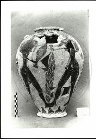 Δείγμα δίχρωμης κεραμεικής από το Νέο Φρέαρ του Πεσσού 67.