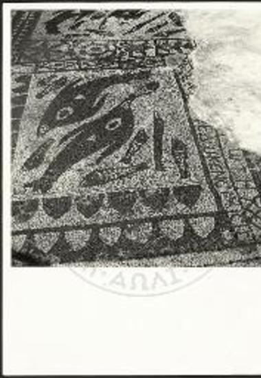 Ψηφιδωτόν διάχωρον μετά παραστάσεως ιχθύων και επιγραφής της βασιλικής Ολούντος.