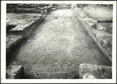 Μωσαϊκόν δάπεδον του νάρθηκος της παλαιοχριστιανικής βασιλικής Κεράς Ονυθέ Γουλεδιανών εκ βορρά ορώμενον.