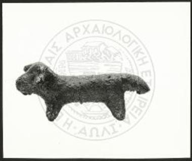 Stier (X 3781).