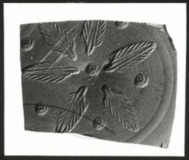 (EN) The Roman Pottery. Isthmus TR1 tr2 (2). Floor frr. (2) with stamped decoration (76.537).
