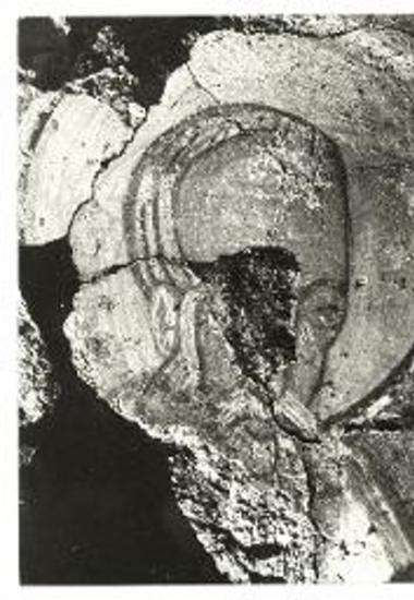 Μονή Αγίων Θεοδώρων παρά το Πραστείον. Κεφαλή Ιεράρχου, τοιχογραφία.