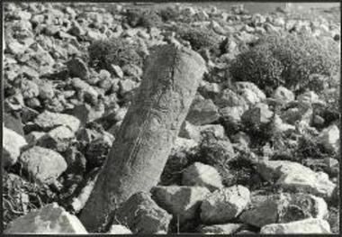 Τηγάνι. Αρράβδωτος κίων εκ του χώρου του ναού. Λεπτομέρεια.