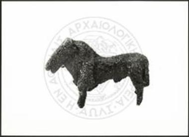 Stier (X 3881).