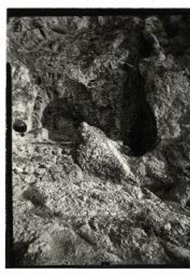 Νότια πλευρά του ιερού του Πανός με εσοχές για αναθήματα.