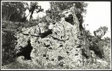 Η περιοχή του σπηλαίου υπ' αριθ. 2.