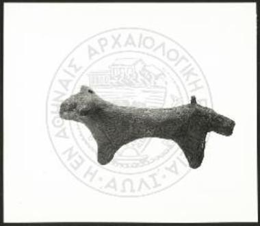 Stier (X 3796).