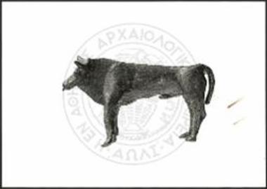 Stier (X 3873).
