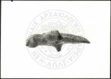Ειδώλιου πτηνού.