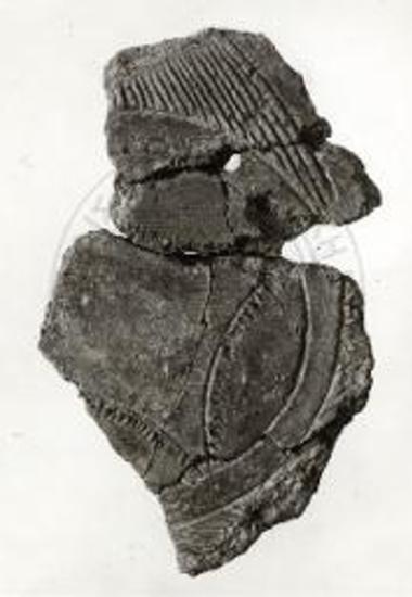 Sherds of vase with incised decoration.