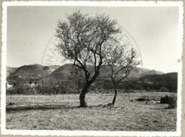 ΚΕΡΚΥΡΑ. Άποψις του πεδίου των ανασκαφών μετά του χωρίου Ρόδα και του Παντοκράτορος. 