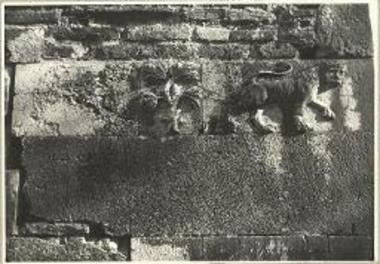 Ανάγλυπτος λέων και δένδρον επί των δόμων της εκκλησίας του αγίου Νικολάου.