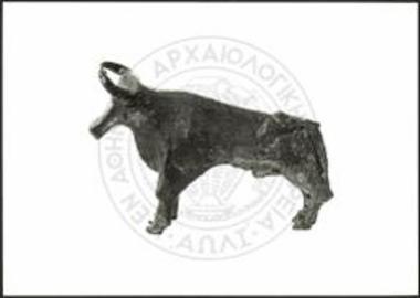 Stier (X 3305).