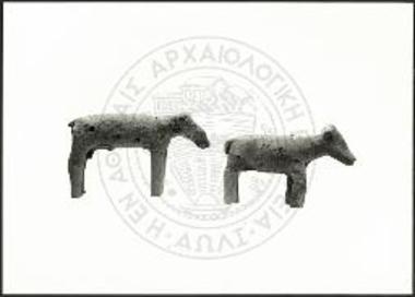 Two rams with long, barrel-shaped body.