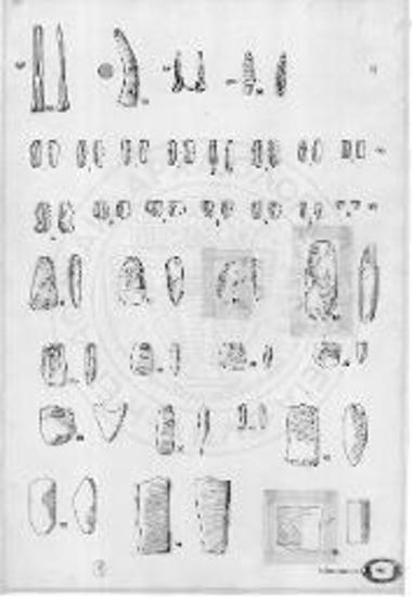 Οστέινα και λίθινα επιφανειακά εργαλεία από τον οικισμό Βασιλικά C.