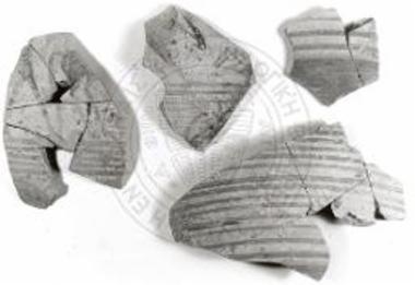 Sherds of kraters.